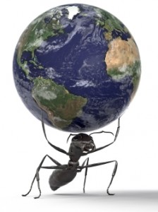 ant holding world