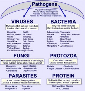 pathogens21