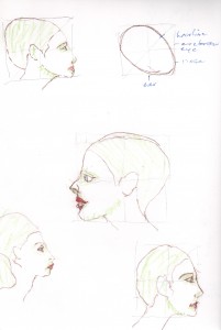 head proportions woman