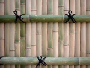 bambooscreen-kyoto1