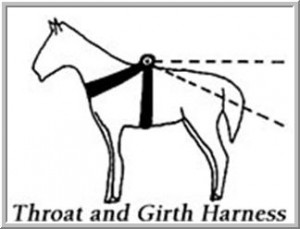 Horse- Early Ox and Throat-and-girth
