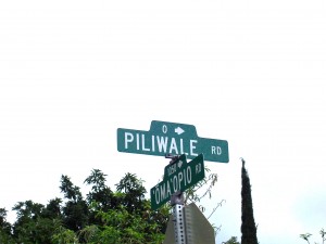 Piliwale Road Maui