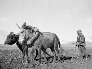 arab-farmer-ploughing-with-a-primitive-plough-near-jerusalem-1935