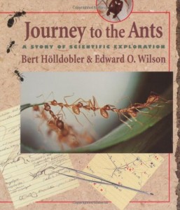 Journey to the Ants