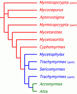 atphyl2