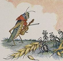 grasshopper fiddler