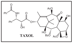 Sketch-Taxol