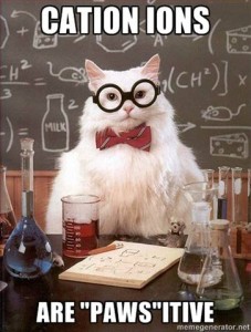 chemcat_cations