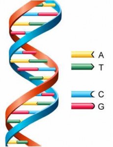 doubleHelix