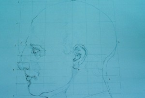 head proportions
