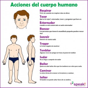 acciones-del-cuerpo-humano