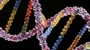 dna-strand