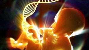 dna_baby_womb