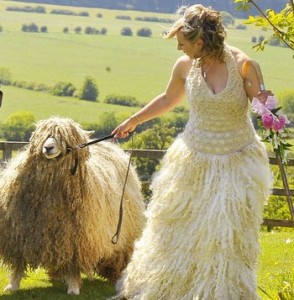 wedding-sheep
