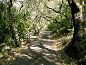 sonoma_mountain_cemetery1