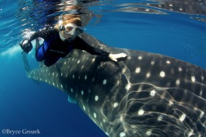 with-whale-shark