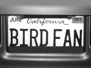 Bird_Fan_-_Max_Clarke