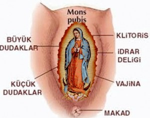 mary vagina