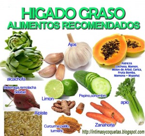 HIGADO+GRASO