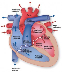 fig1_crosslg_sp